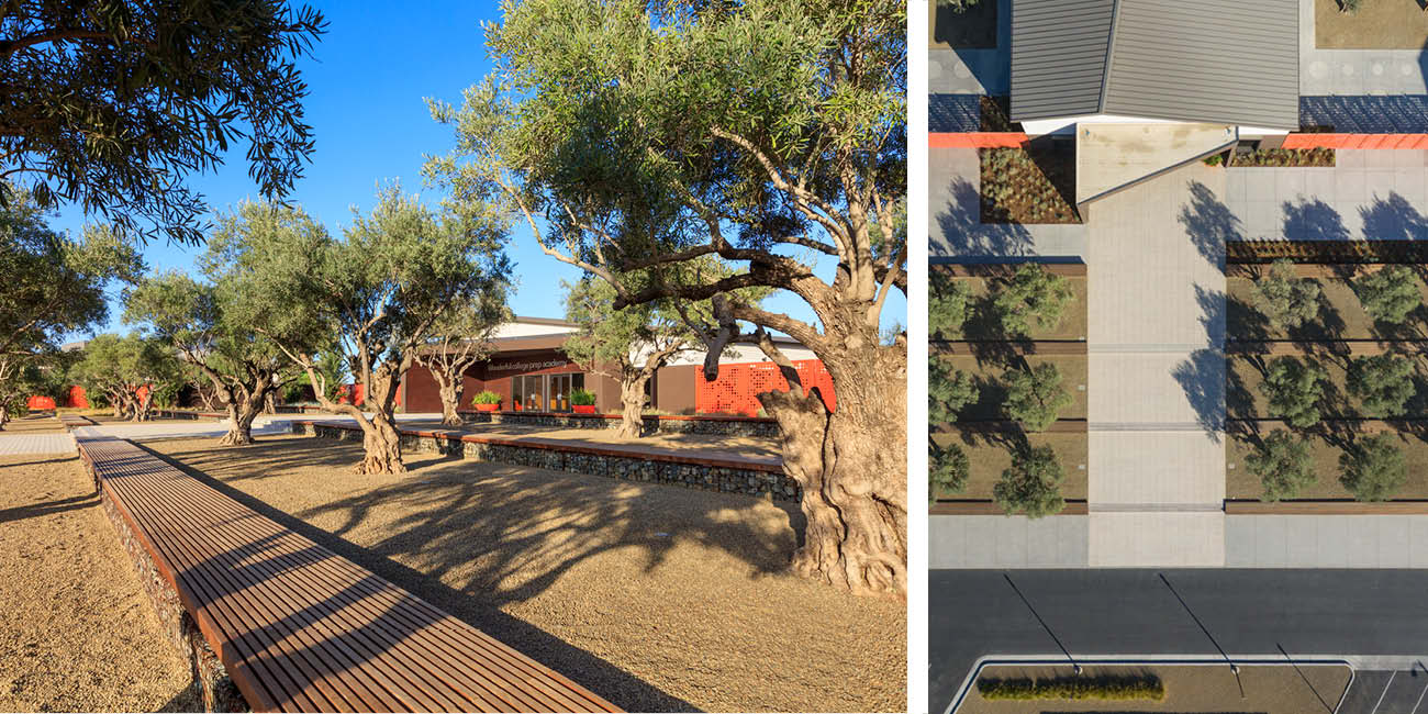 Wonderful College Benches and Trees