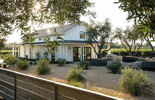 Biddle Ranch Vineyard