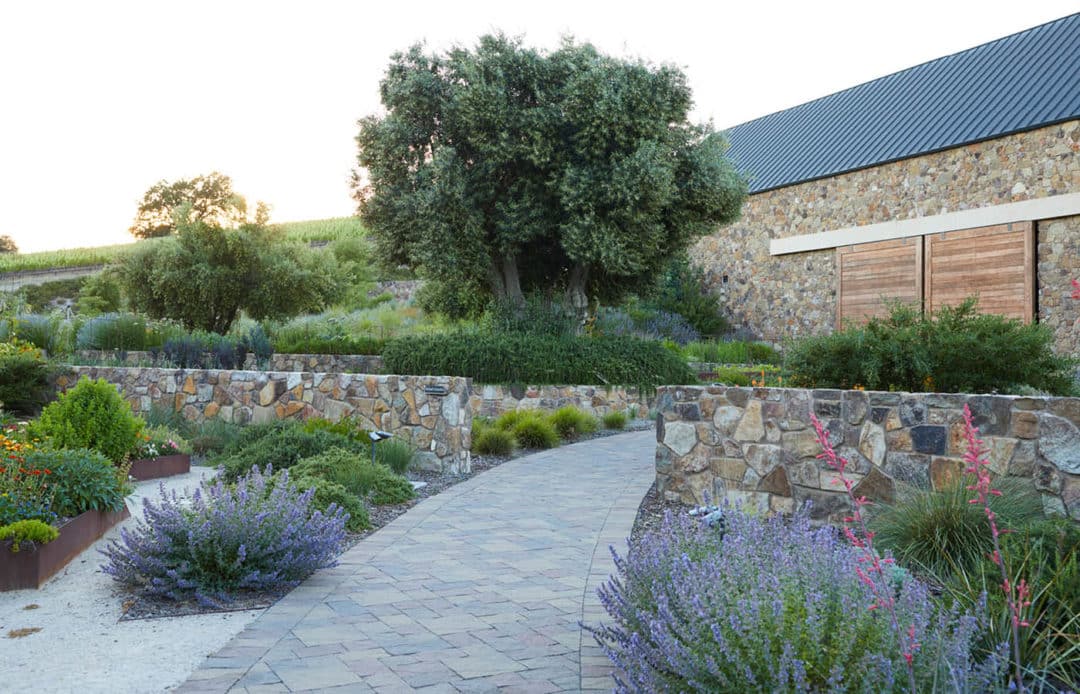 Niner Winery Landscape Design & Construction