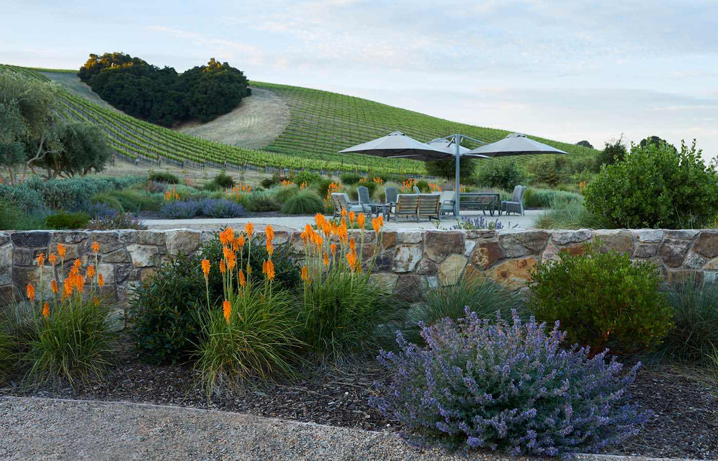 Niner Winery Landscape Design & Construction